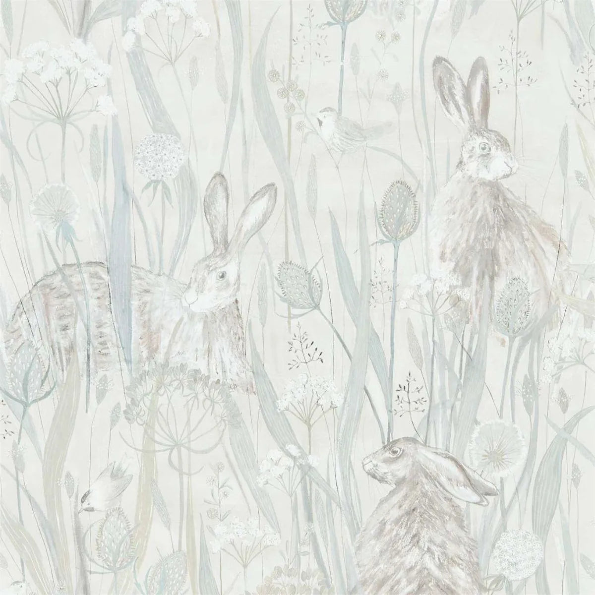 Dune Hares Wallpaper - Sanderson