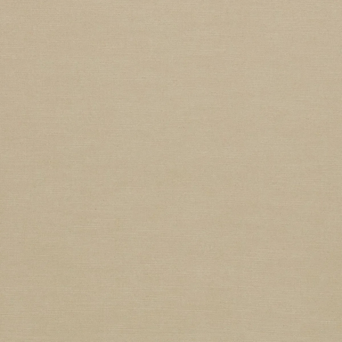 Paradiso Fabric - Clarke & Clarke X Breegan Jane