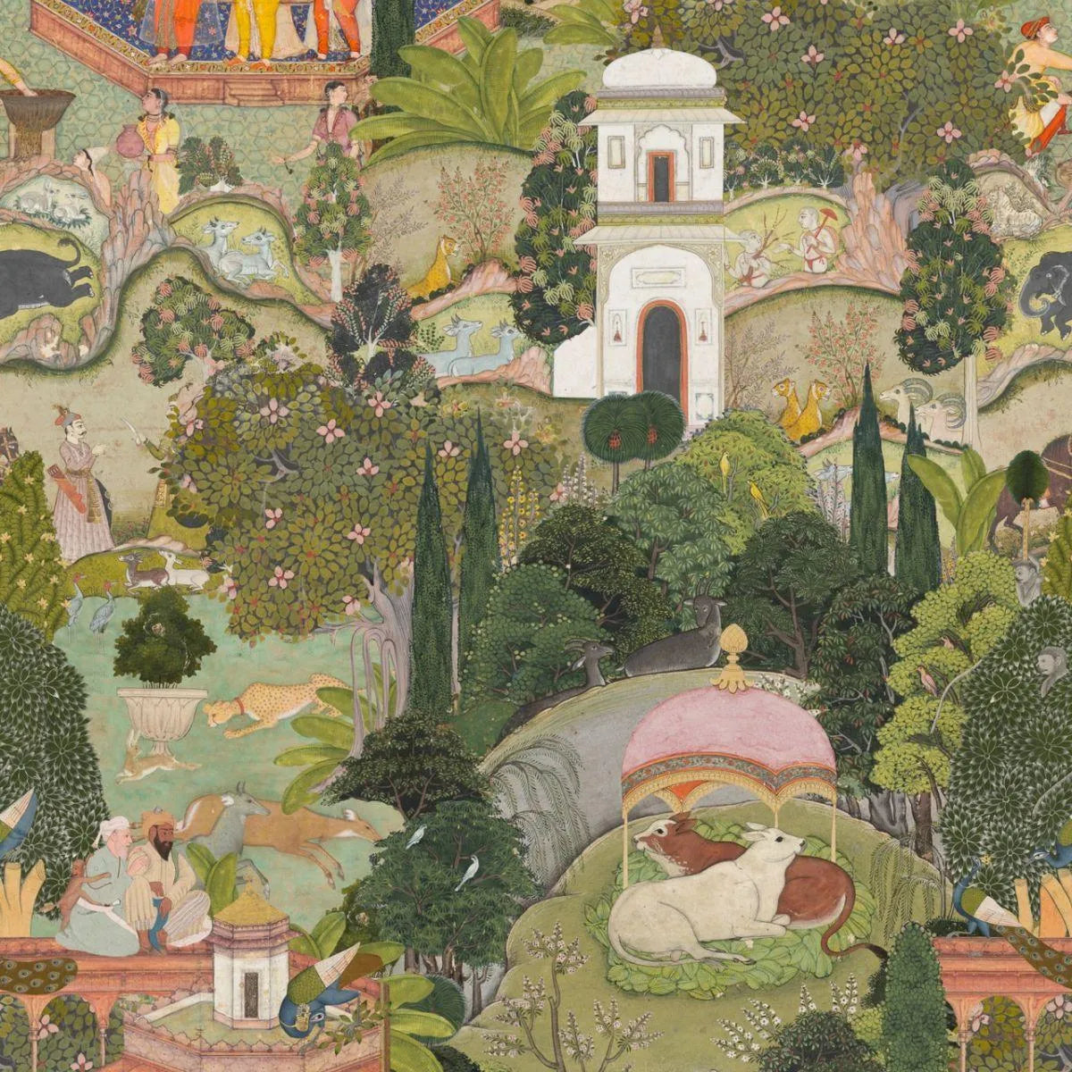 Gardens Of Jaipur Wallpaper - Mind The Gap
