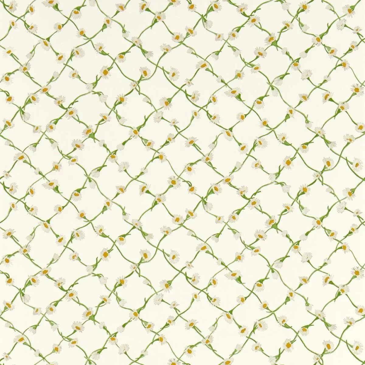 Daisy Trellis Wallpaper - Harlequin X Sophie Robinson