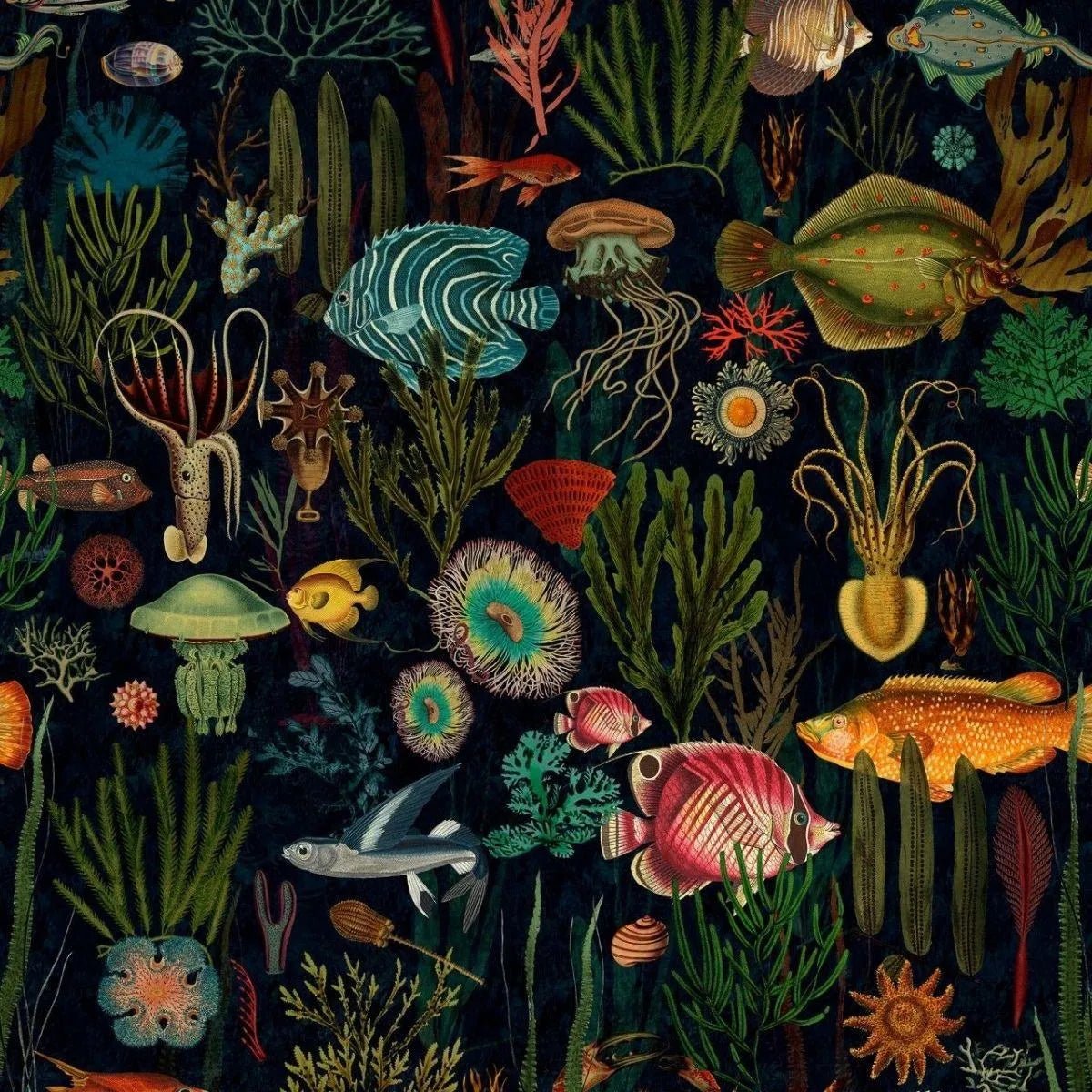 Oceania Wallpaper - Mind The Gap