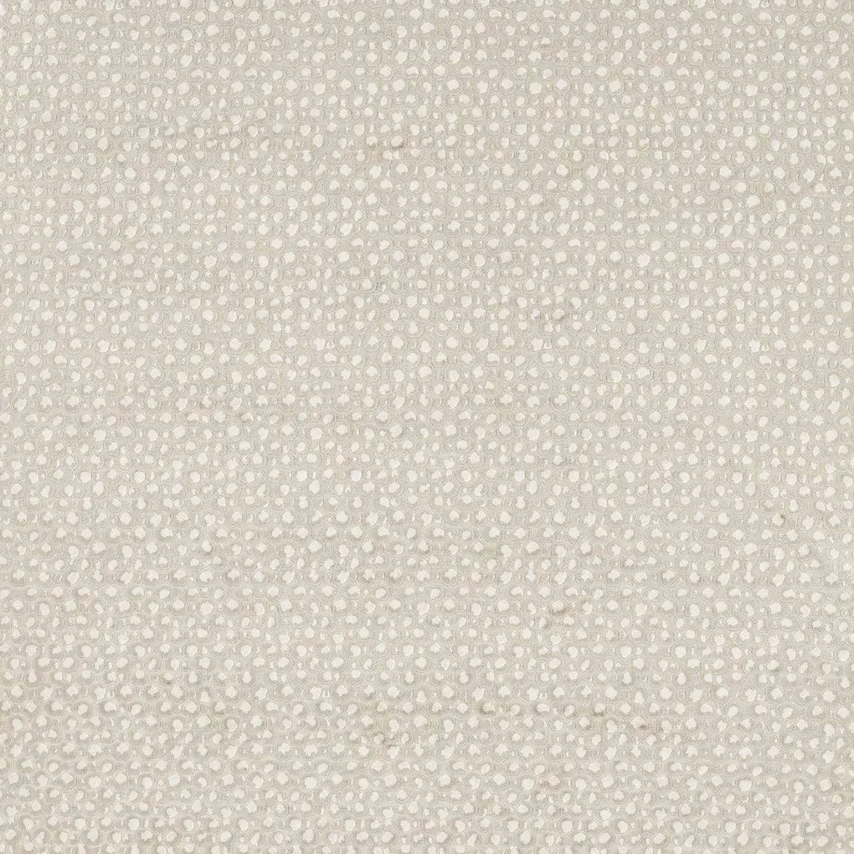 Pokot Fabric - Clarke & Clarke X Breegan Jane