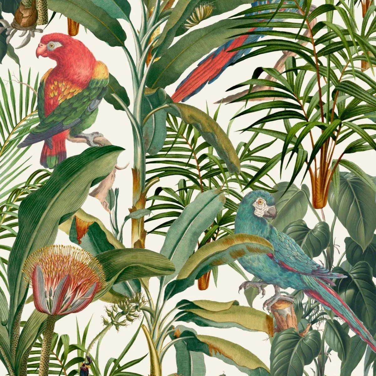Parrots of Brasil Wallpaper - Mind The Gap