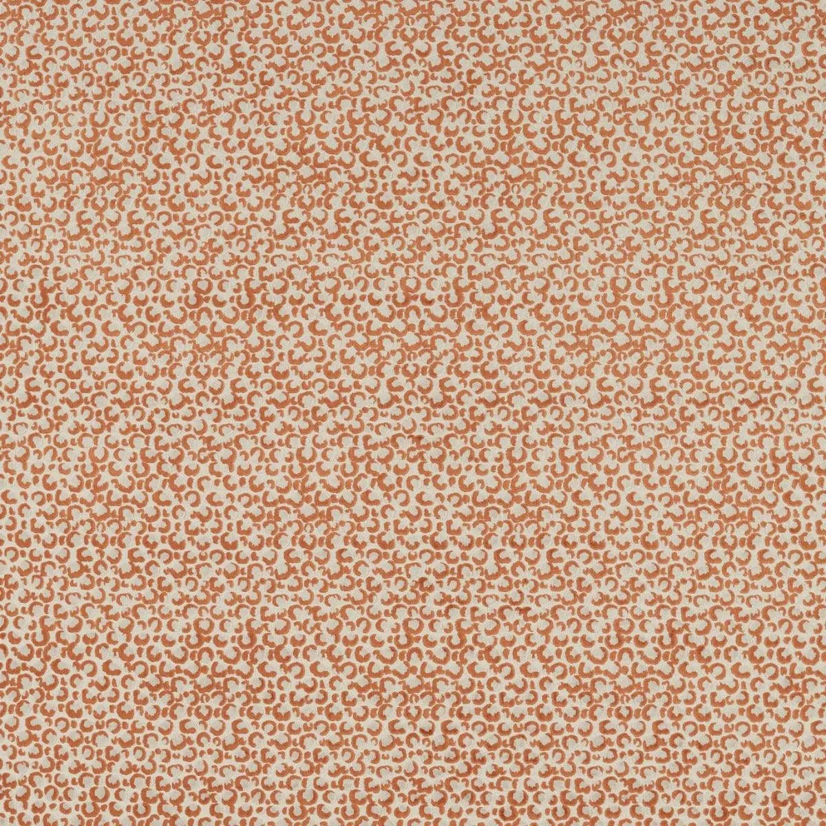Pokot Fabric - Clarke & Clarke X Breegan Jane