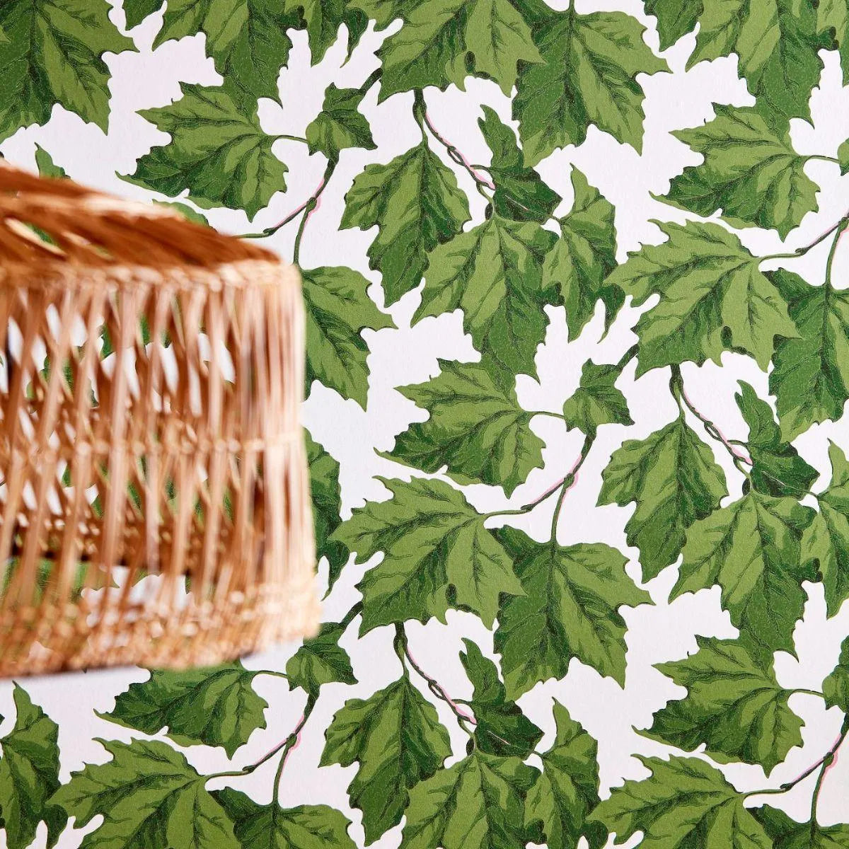 Dappled Leaf Wallpaper - Harlequin X Sophie Robinson