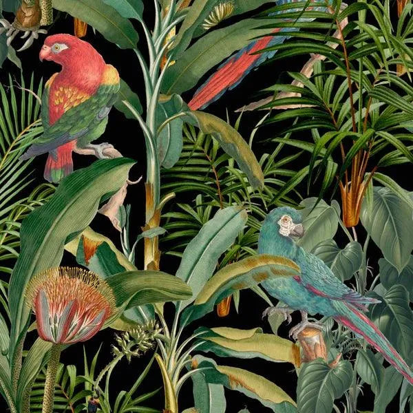 Parrots of Brasil Wallpaper - Mind The Gap