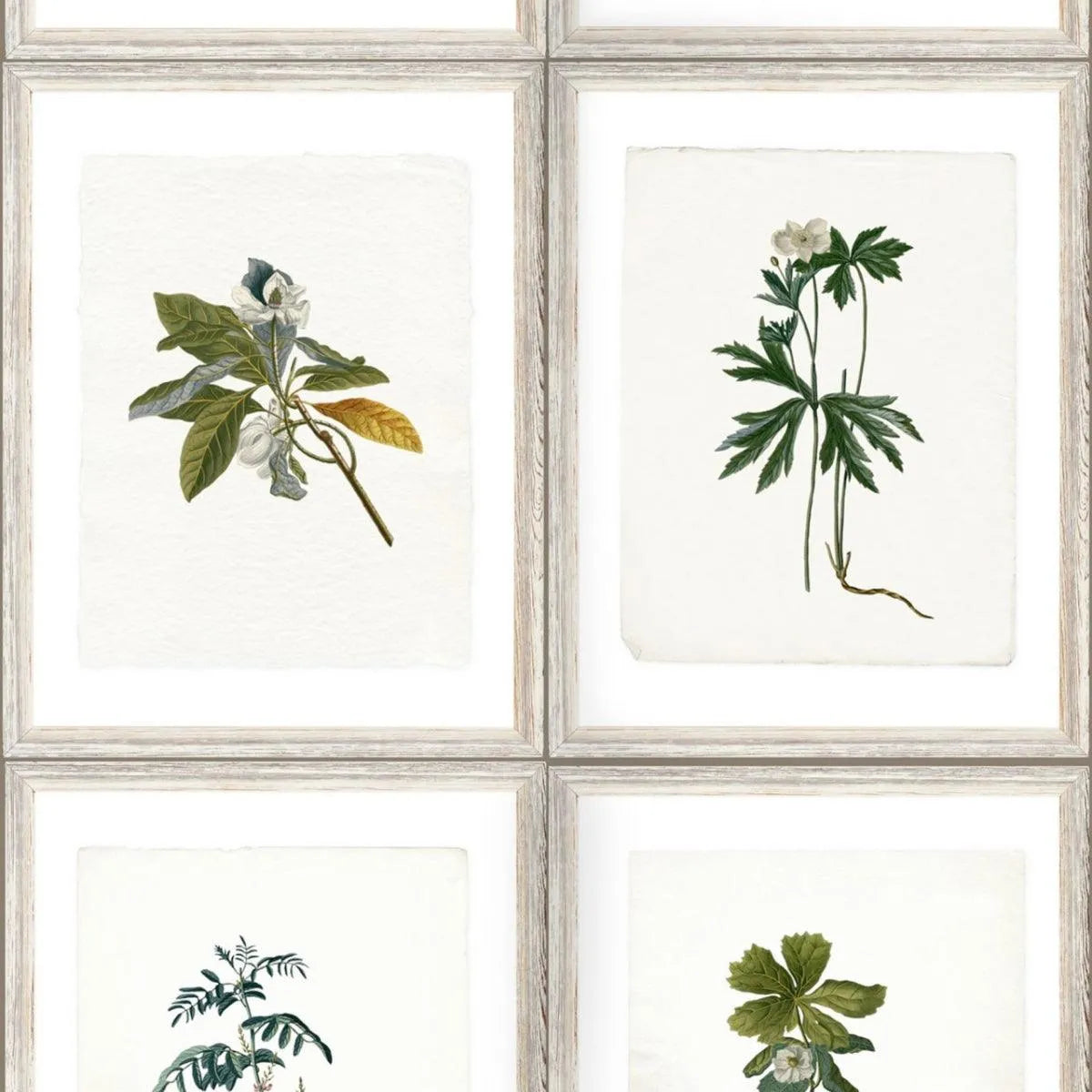 Botany Wallpaper - Mind The Gap