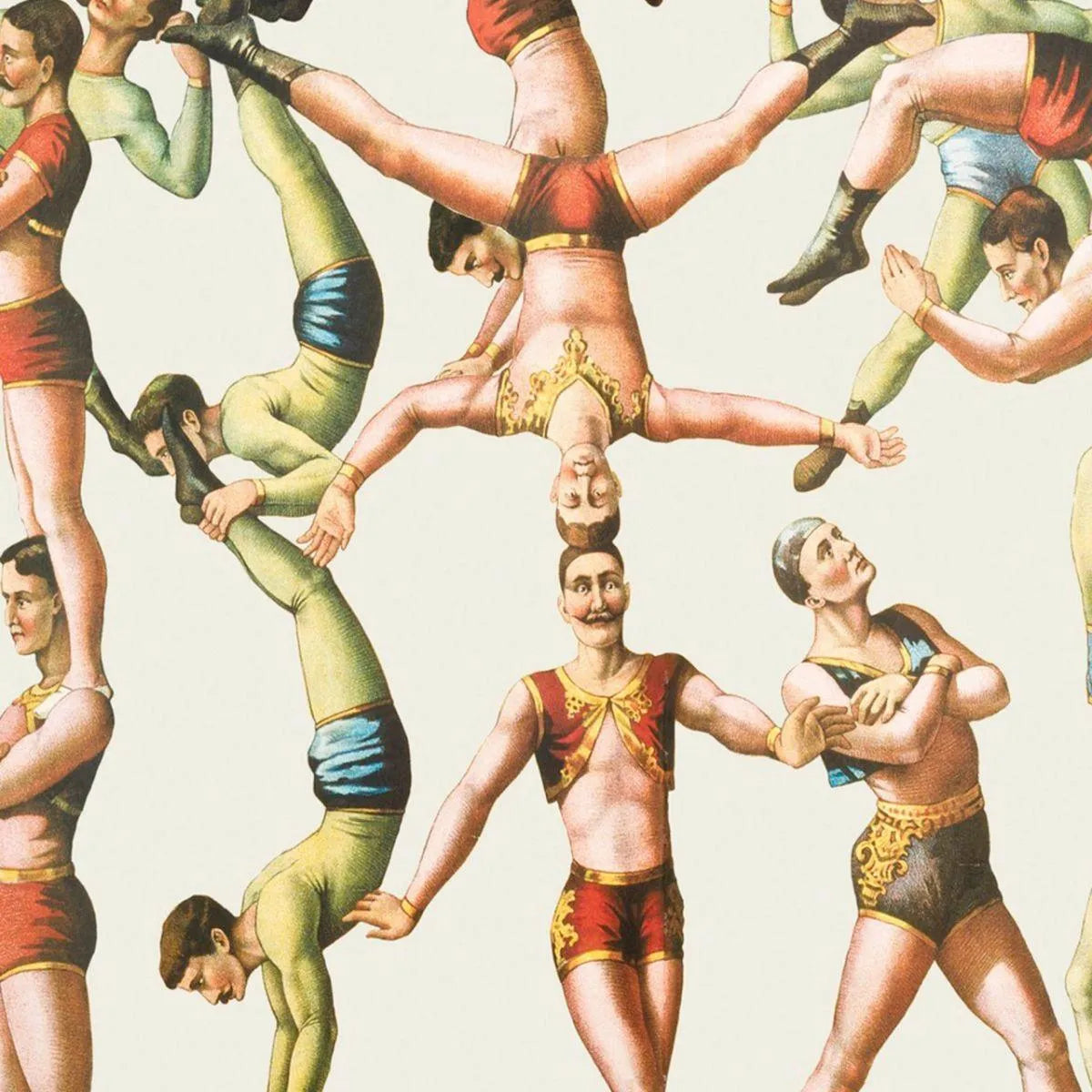 The Acrobats Wallpaper - Mind The Gap