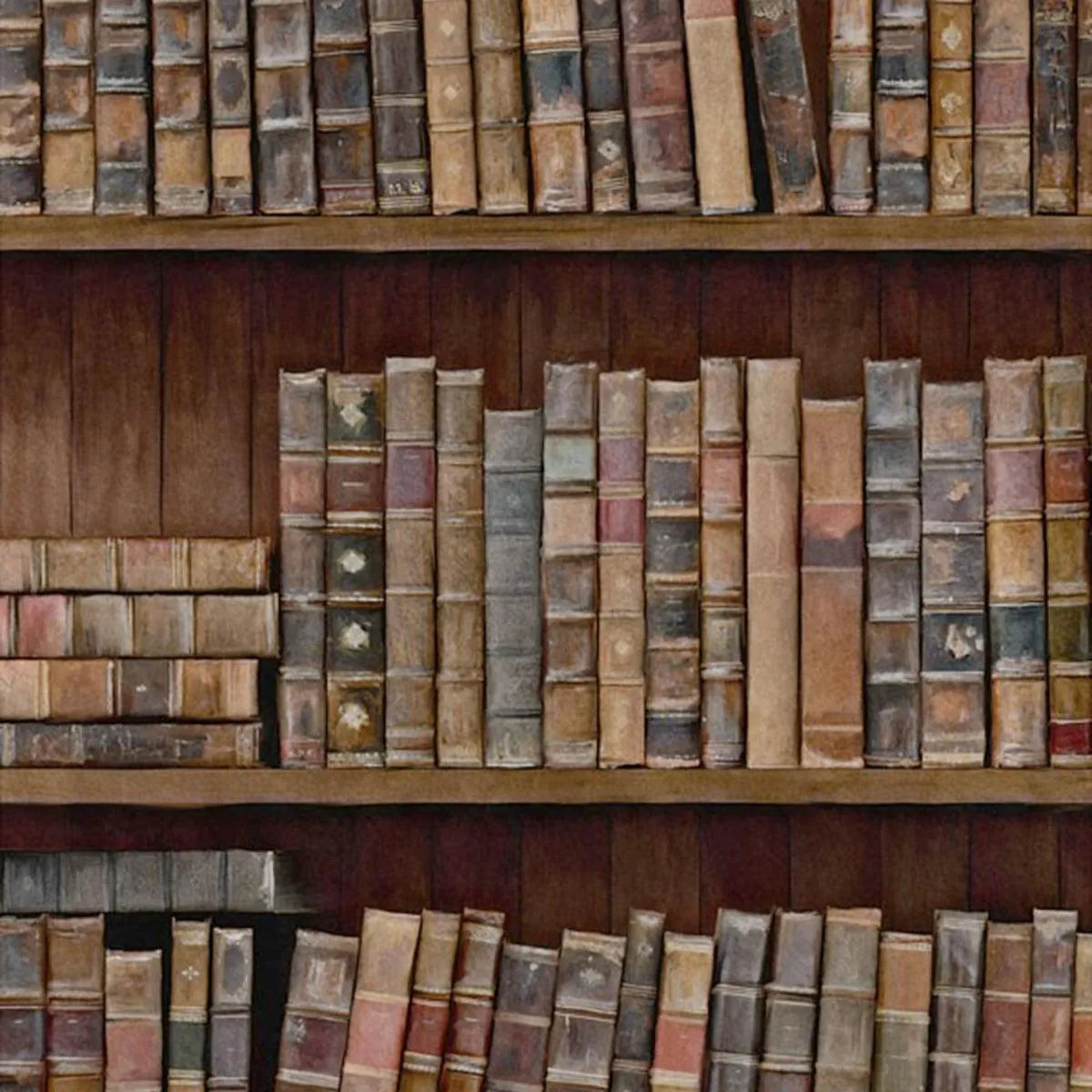 Book Shelves Wallpaper - Mind The Gap
