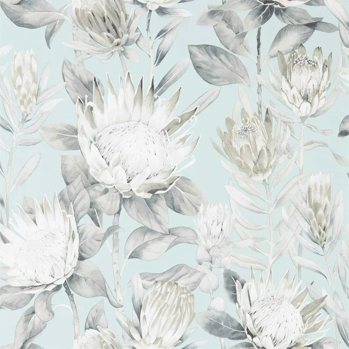 King Protea Wallpaper - Sanderson