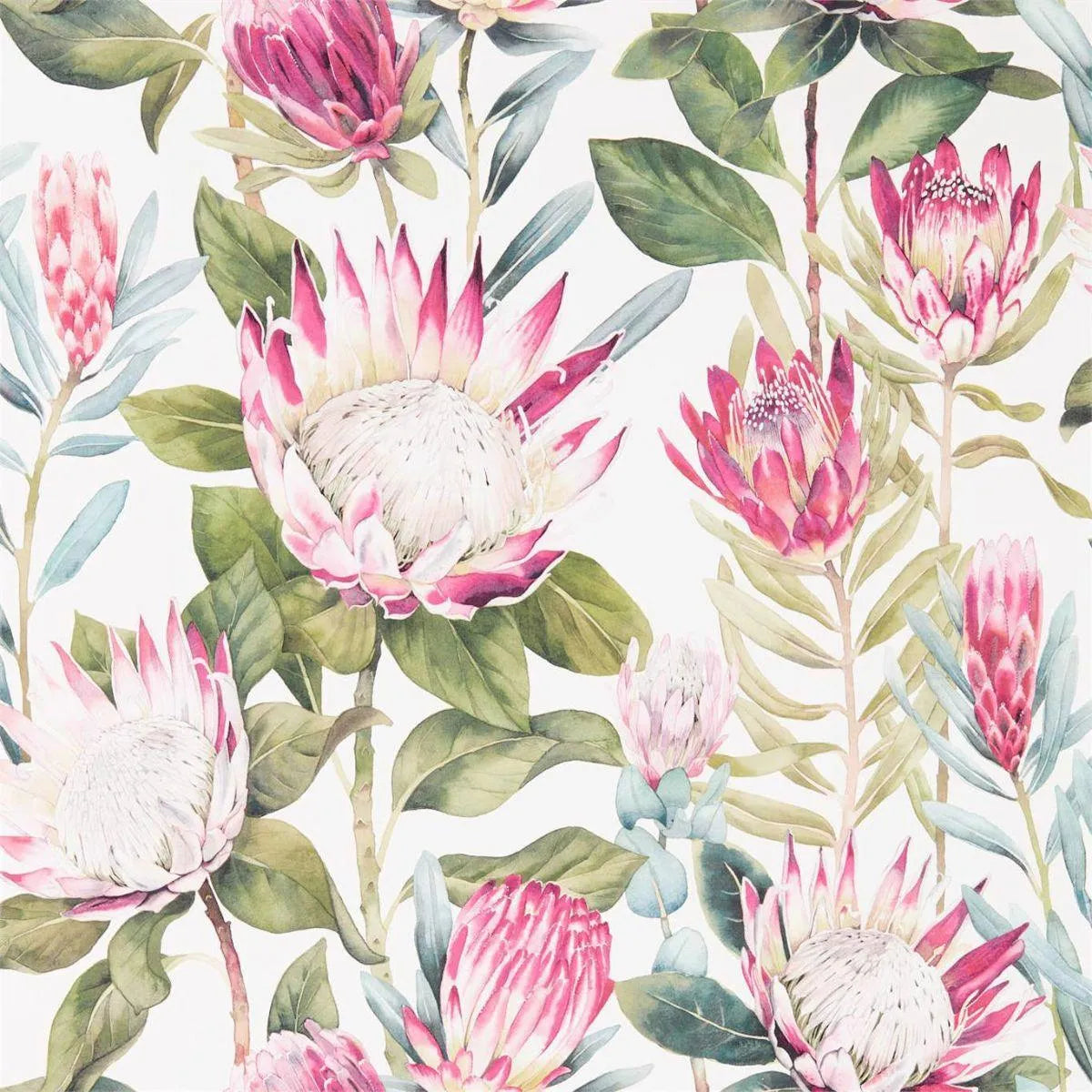 King Protea Wallpaper - Sanderson