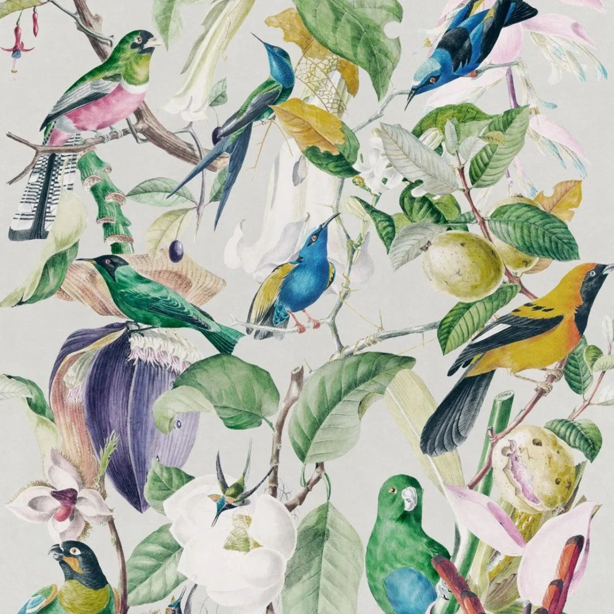 Tropical Birds Wallpaper - Mind The Gap