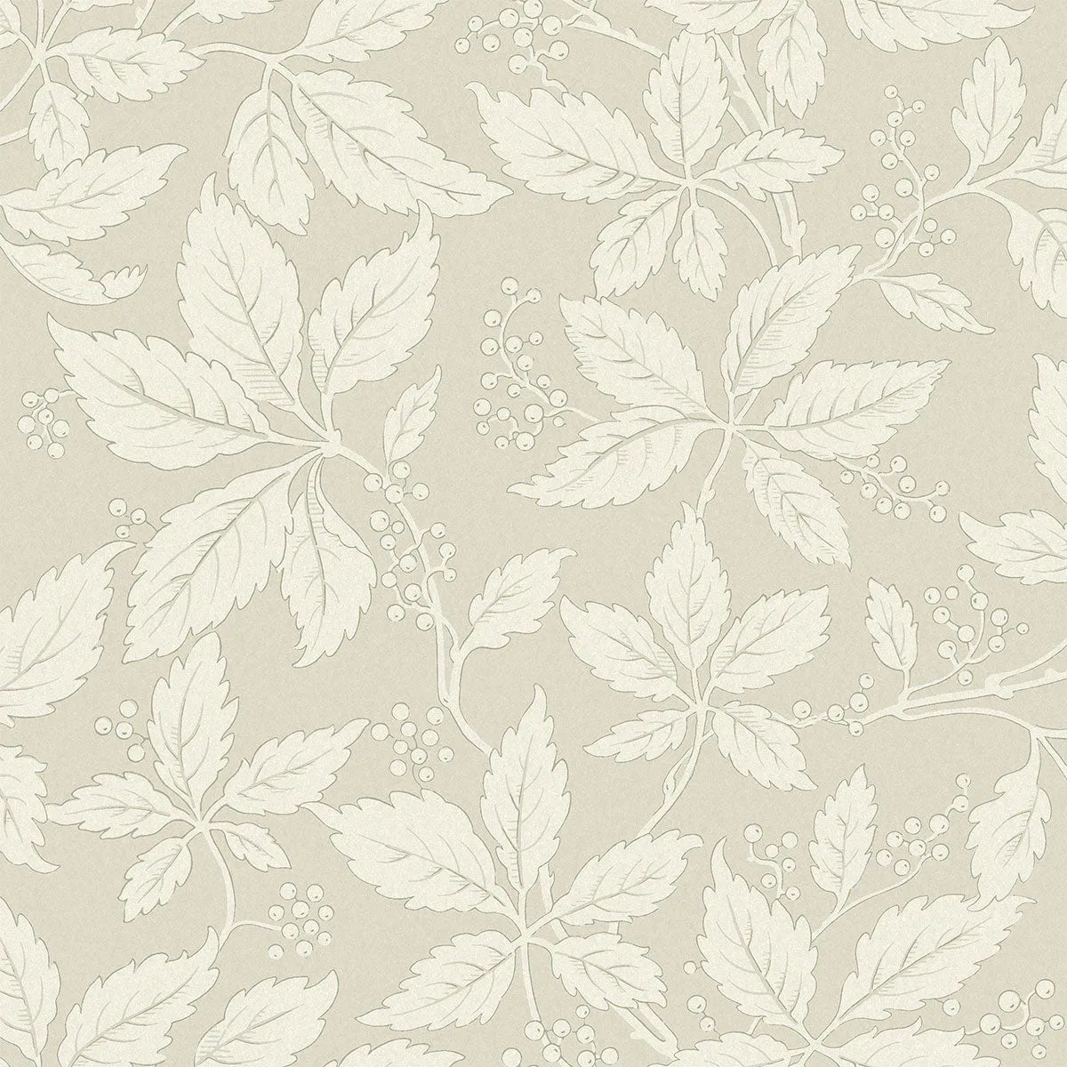 Vildvin Wallpaper - Borastapeter