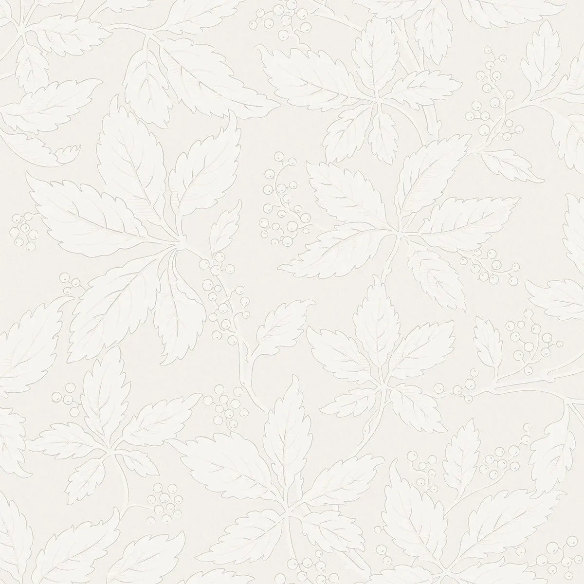 Vildvin Wallpaper - Borastapeter