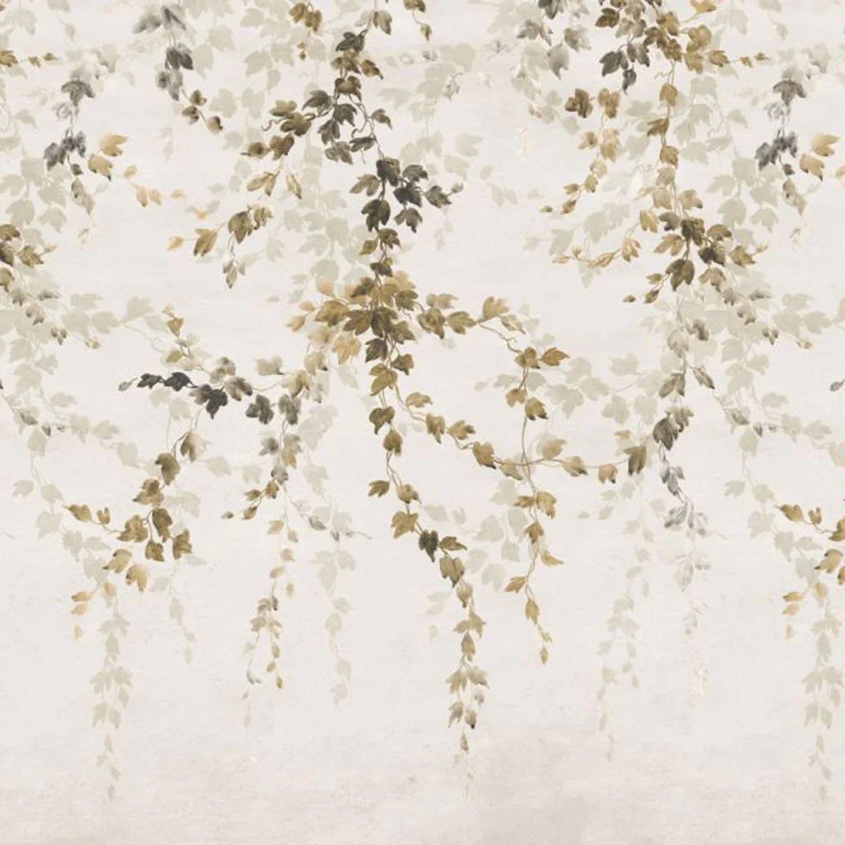 Vine Shadow Mural Wallpaper - Coordonne