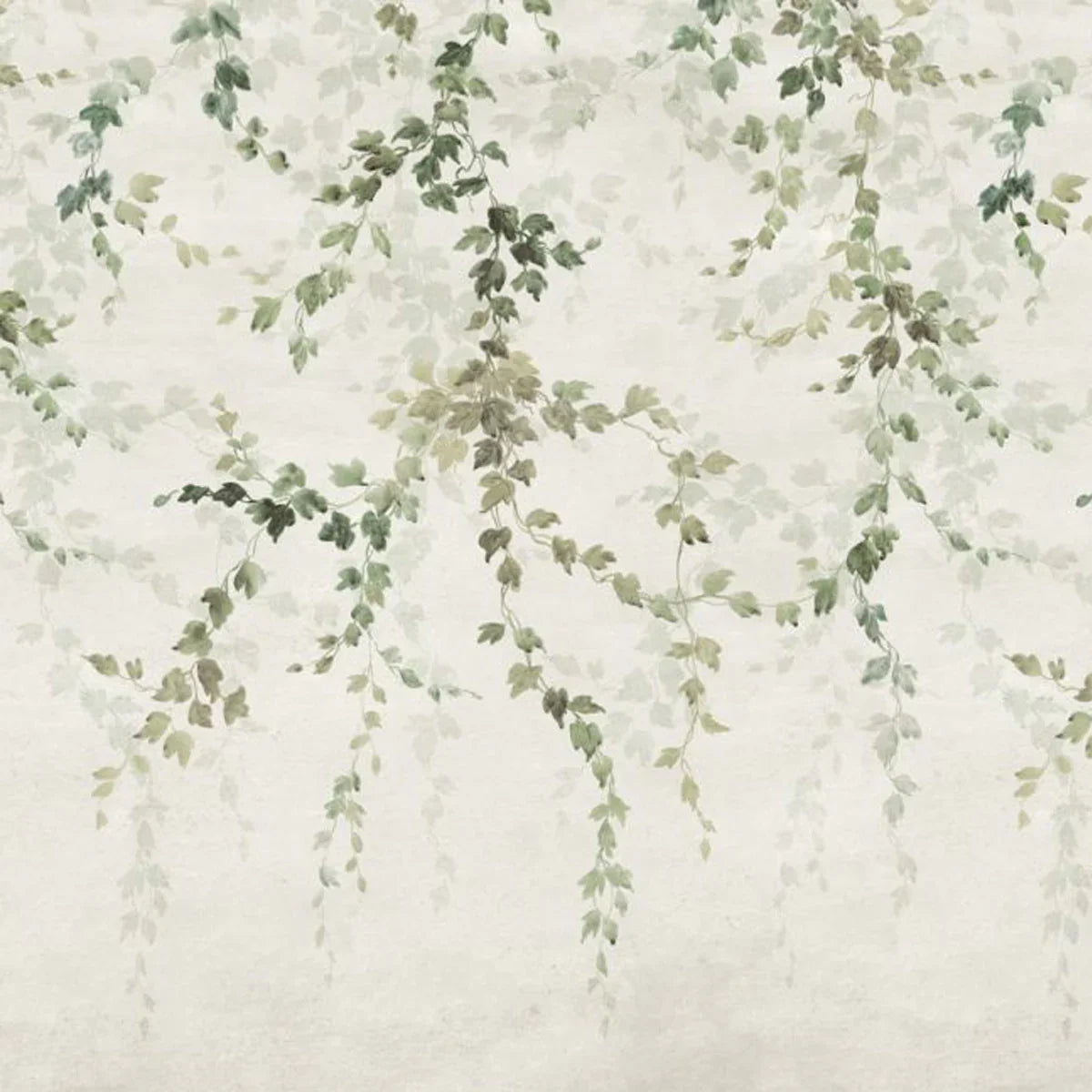 Vine Shadow Mural Wallpaper - Coordonne