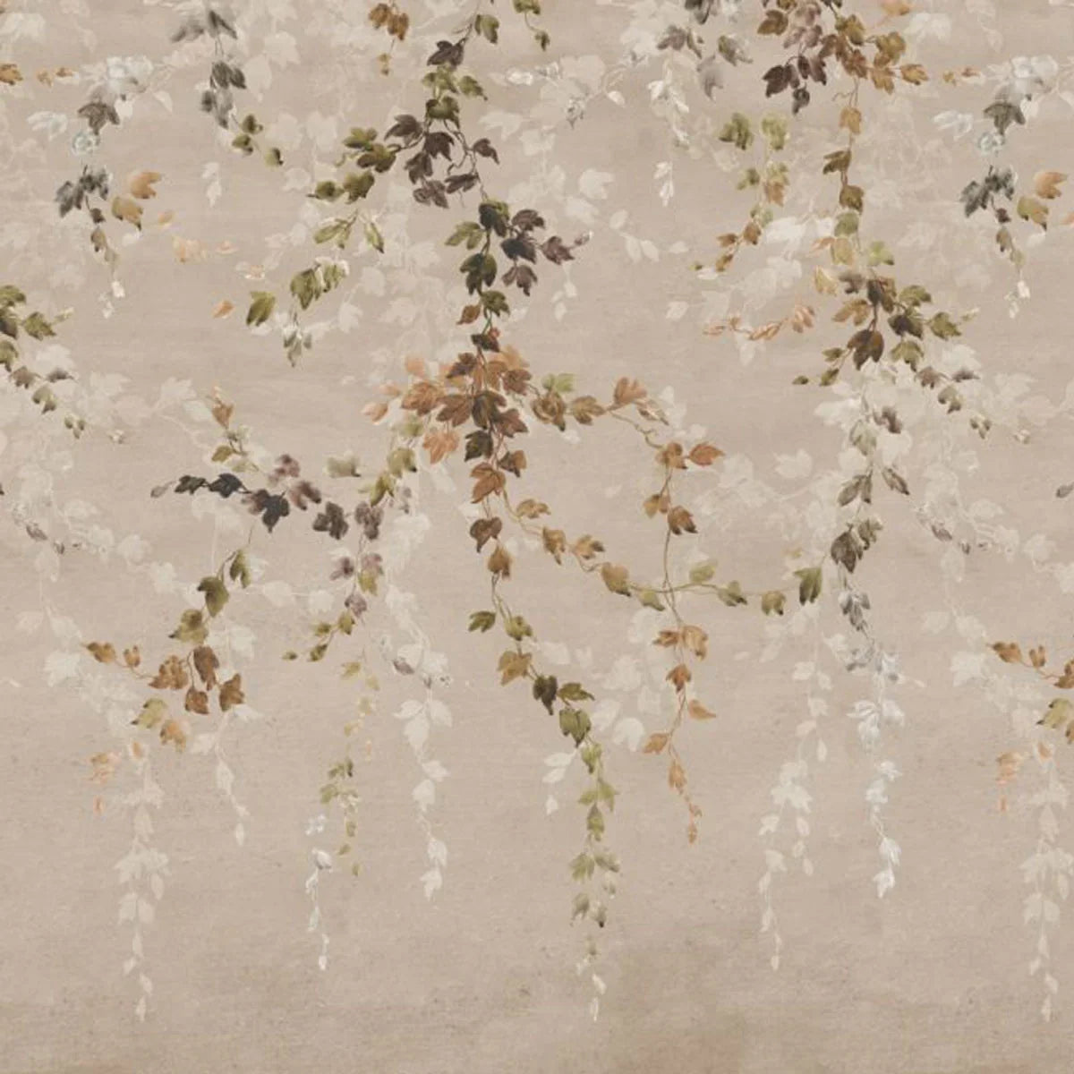 Vine Shadow Mural Wallpaper - Coordonne