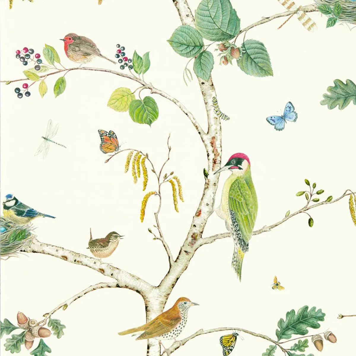Woodland Chorus Wallpaper - Sanderson