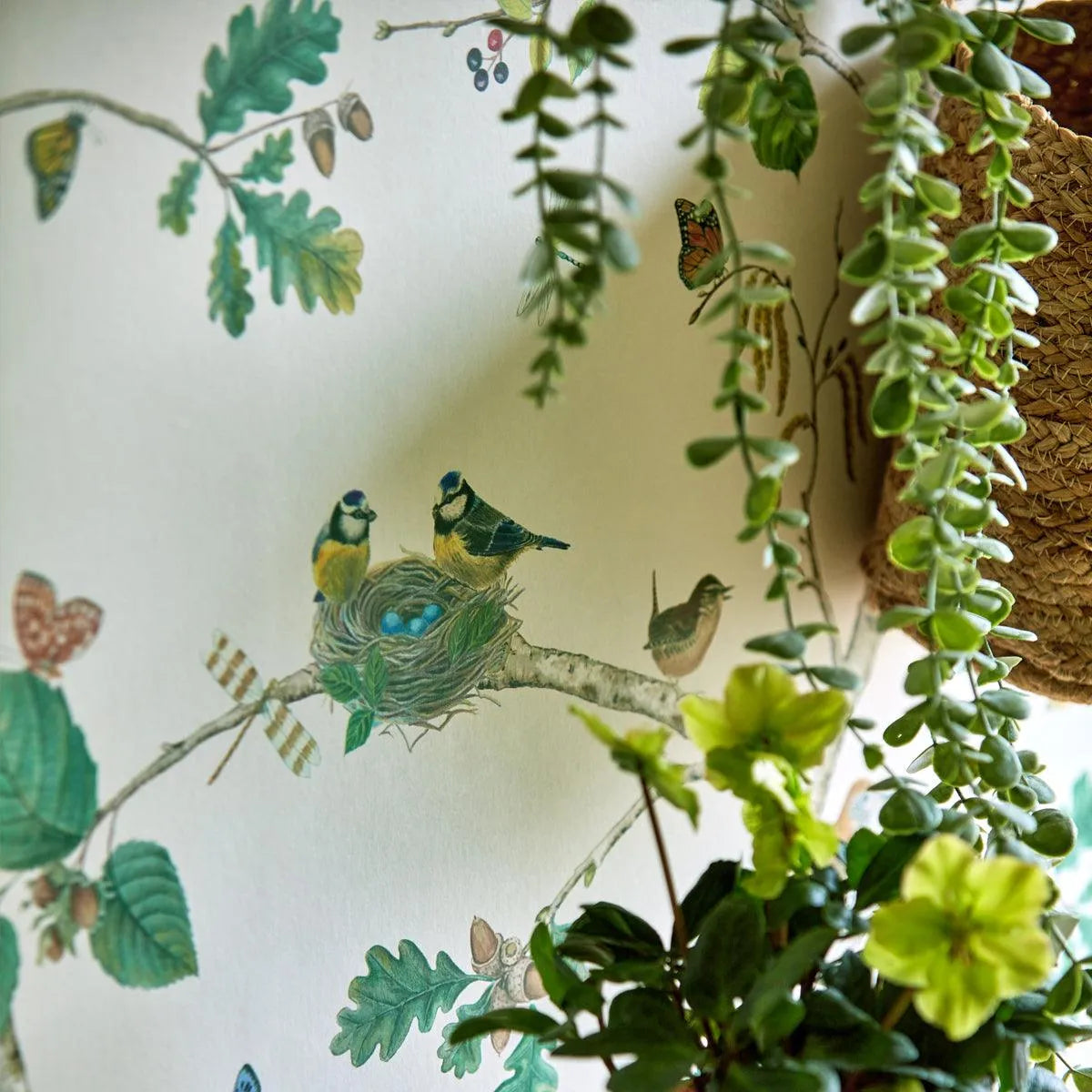 Woodland Chorus Wallpaper - Sanderson