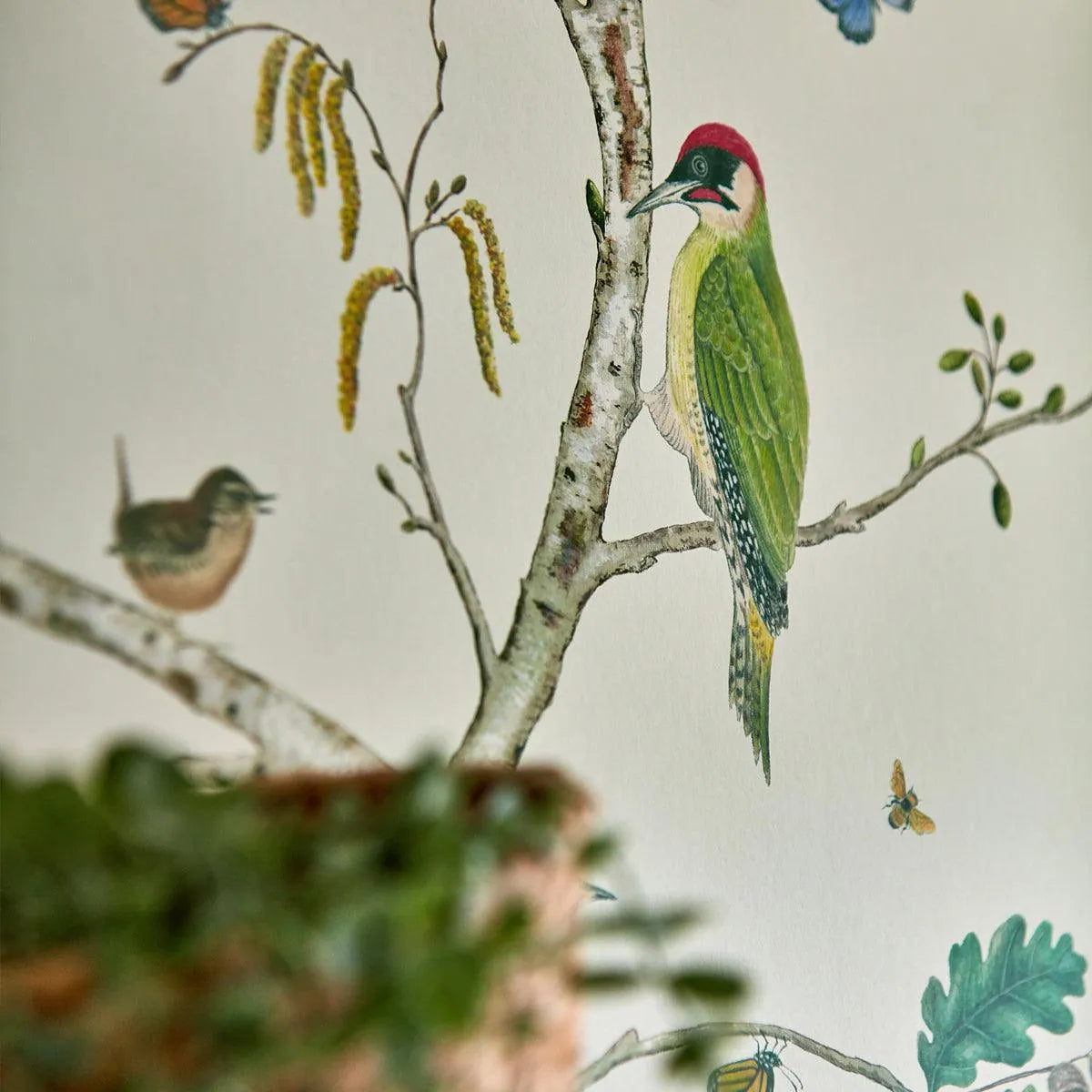 Woodland Chorus Wallpaper - Sanderson