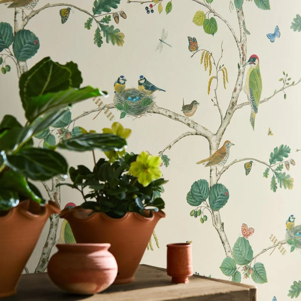 Woodland Chorus Wallpaper - Sanderson