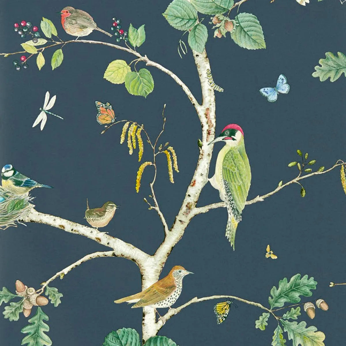 Woodland Chorus Wallpaper - Sanderson