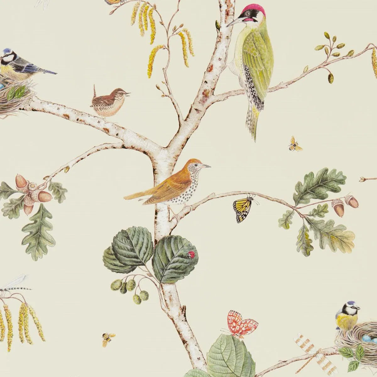 Woodland Chorus Wallpaper - Sanderson