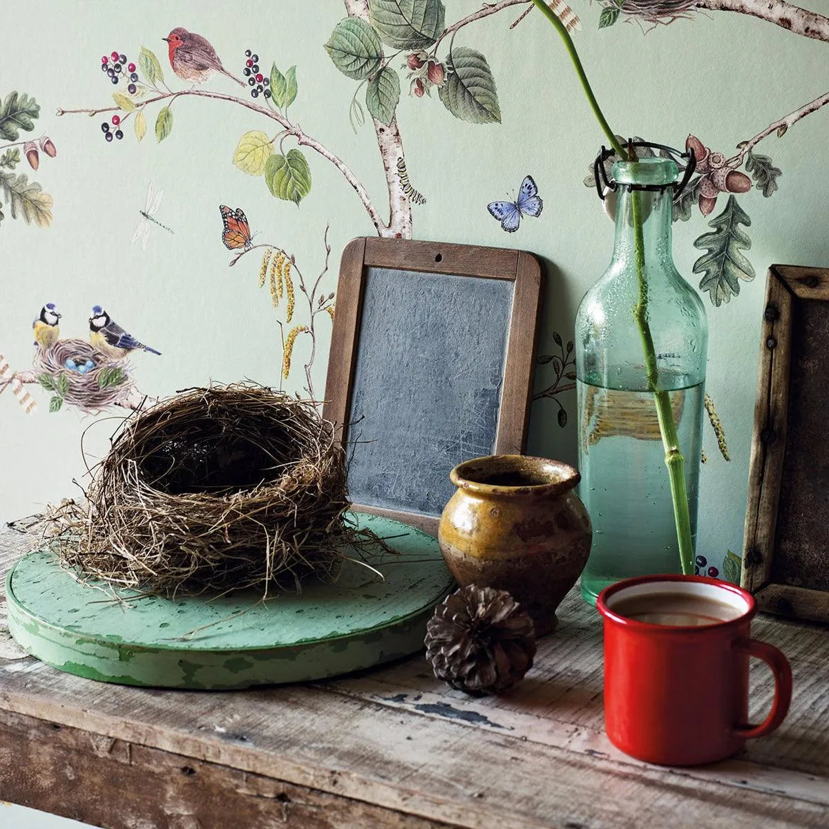 Woodland Chorus Wallpaper - Sanderson