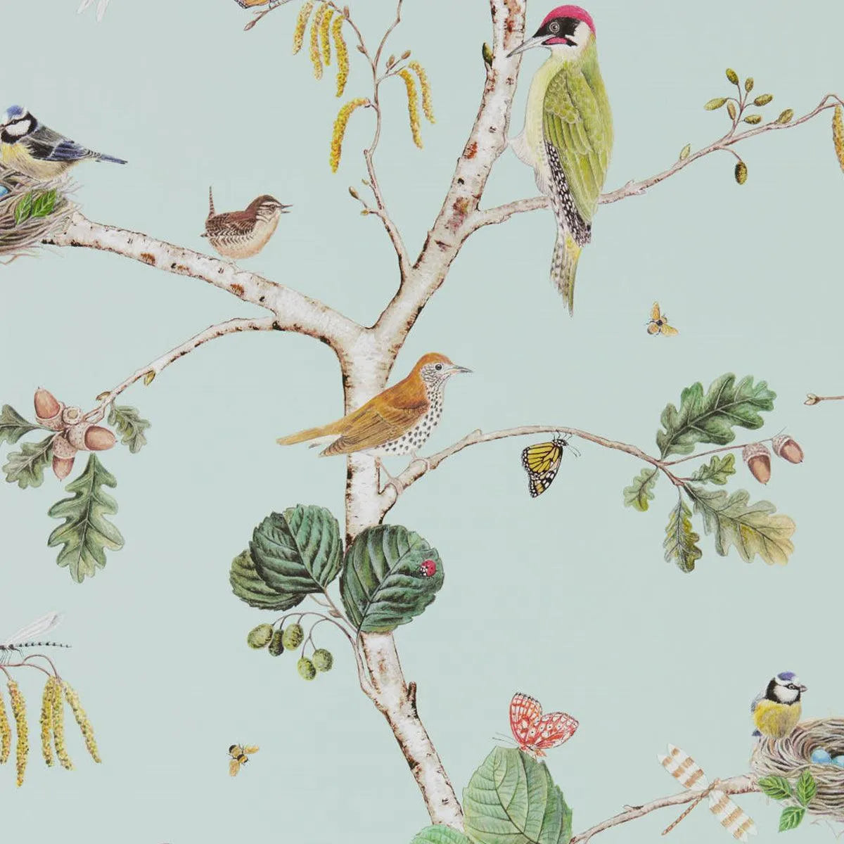 Woodland Chorus Wallpaper - Sanderson