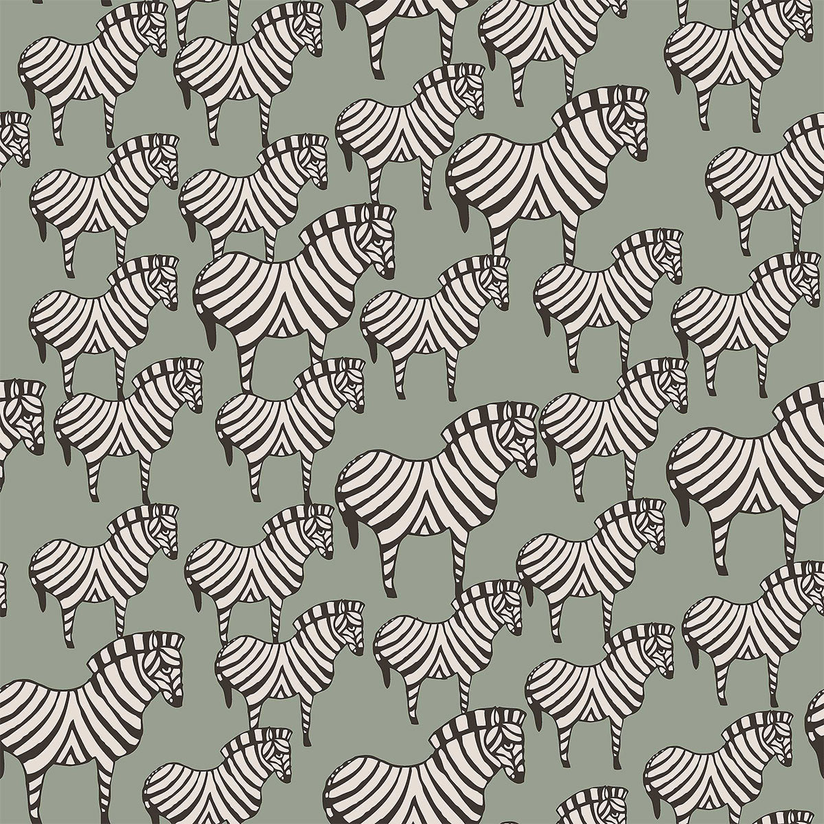 Zebra Wallpaper - Borastapeter
