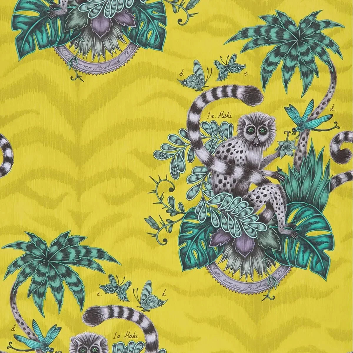 Lemur Wallpaper - Clarke & Clarke X Emma Shipley