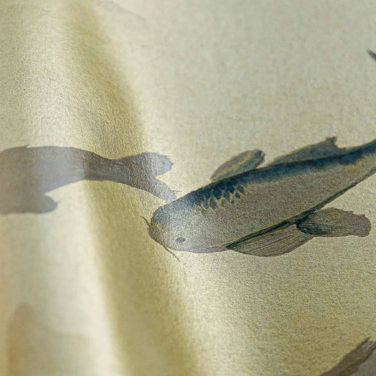 Koi Mural Wallpaper - Coordonne