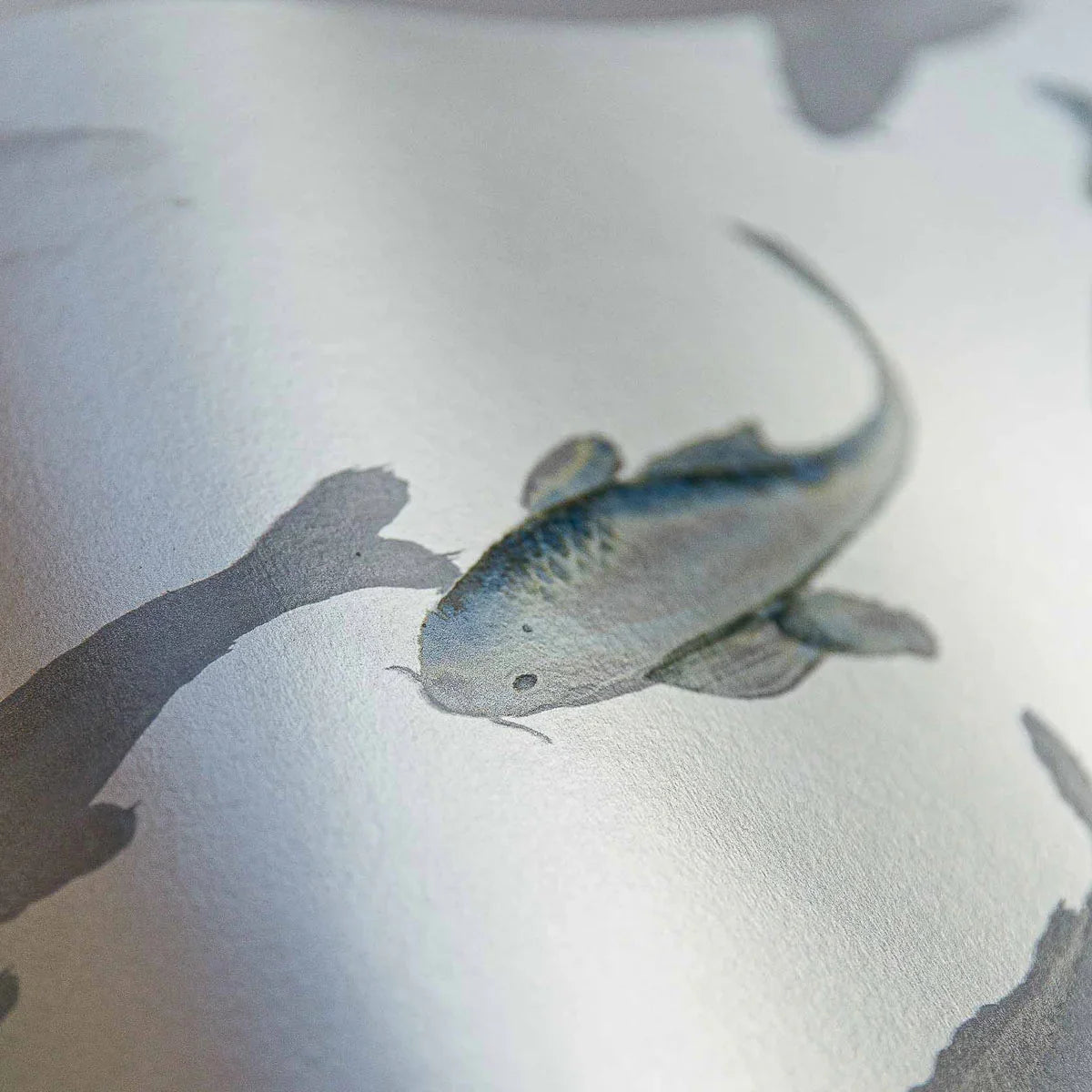 Koi Mural Wallpaper - Coordonne