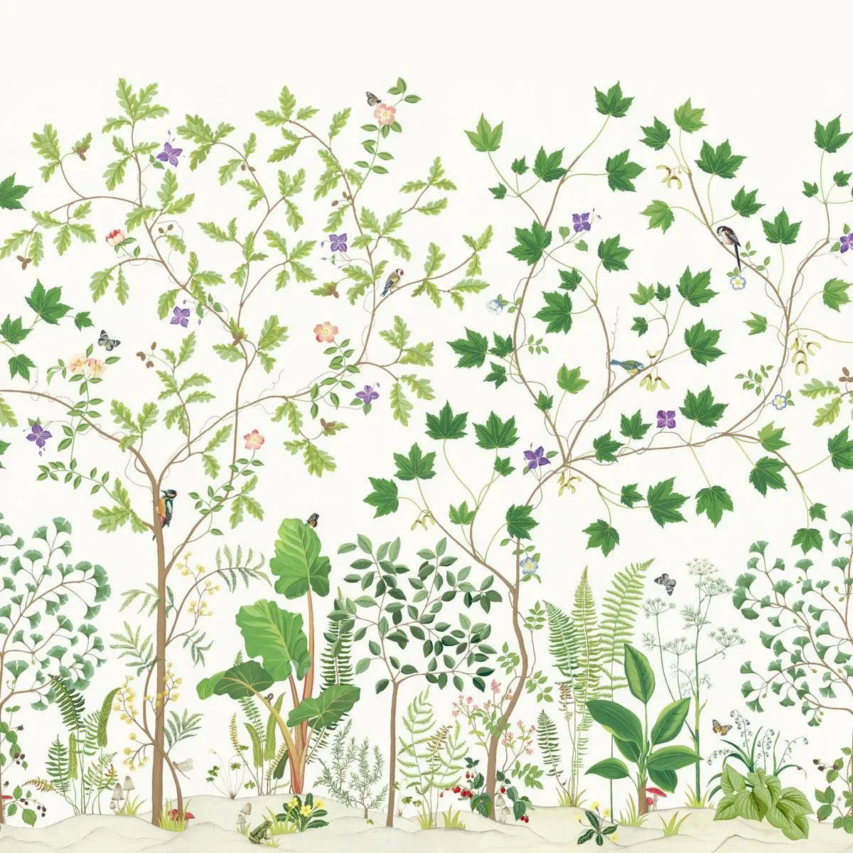 Sycamore and Oak Wallpaper - Sanderson