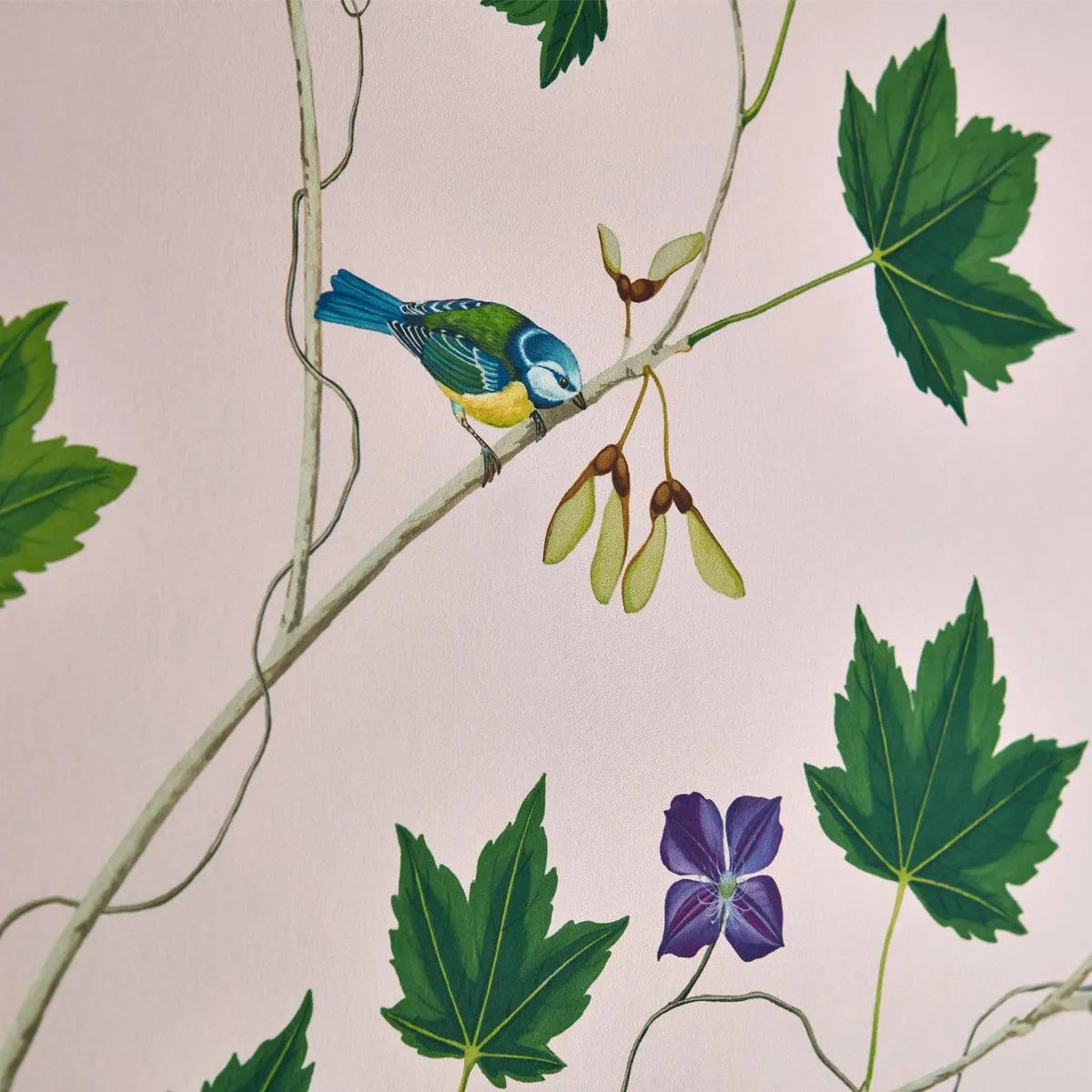 Sycamore and Oak Wallpaper - Sanderson