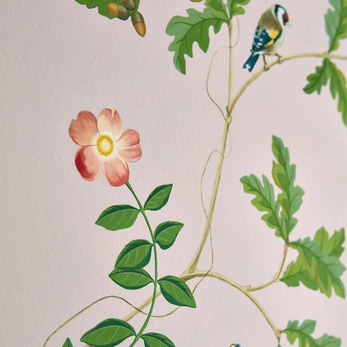 Sycamore and Oak Wallpaper - Sanderson